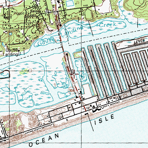 Topographic Map of Apricot Creek, NC