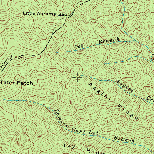 Topographic Map of Asgini Ridge, NC