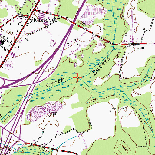 Topographic Map of Bakers Swamp, NC