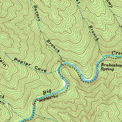 Topographic Map of Barnes Branch, NC