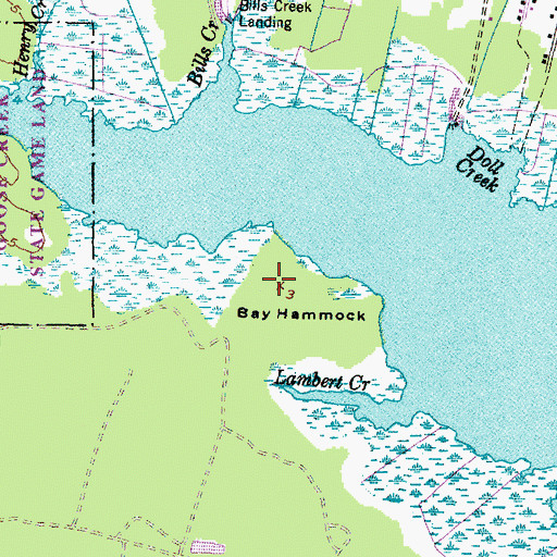 Topographic Map of Bay Hammock, NC