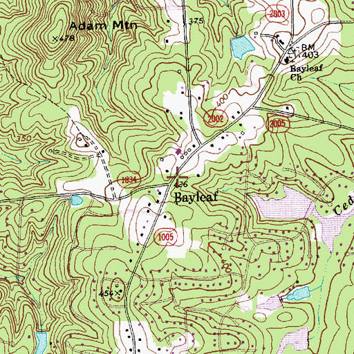 Topographic Map of Bayleaf, NC