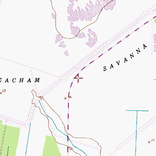 Topographic Map of Beacham Savanna, NC