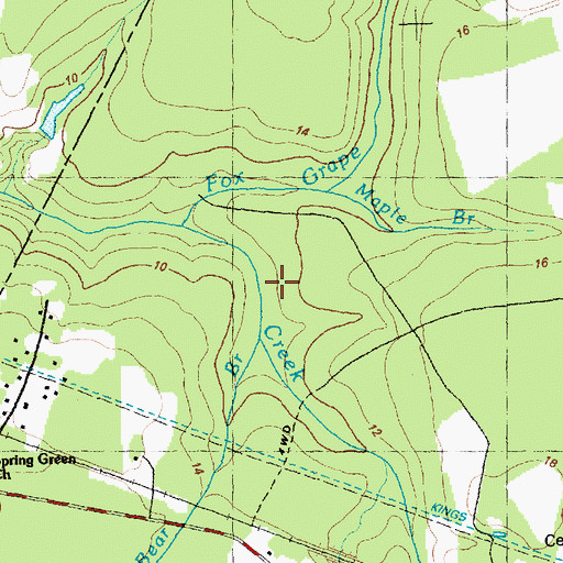 Topographic Map of Bear Branch, NC