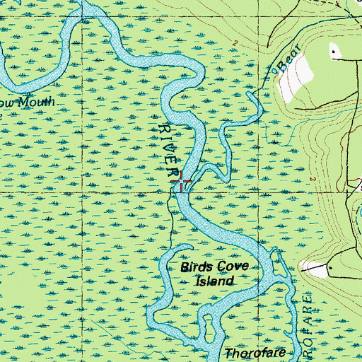 Topographic Map of Bear Branch, NC