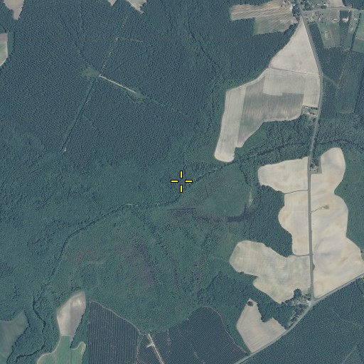 Aerial/Satellite Image of Bear Grass Swamp, NC