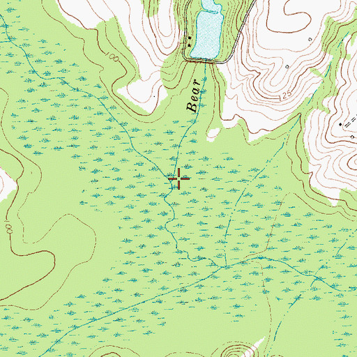 Topographic Map of Bear Marsh Branch, NC