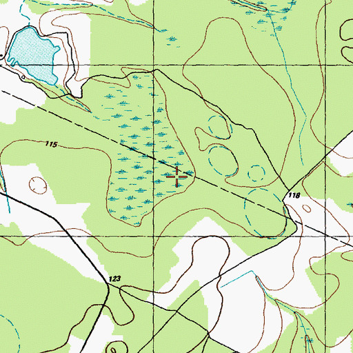 Topographic Map of Bear Pond, NC