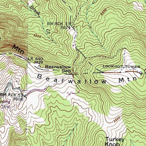 Topographic Map of Bearwallow Gap, NC