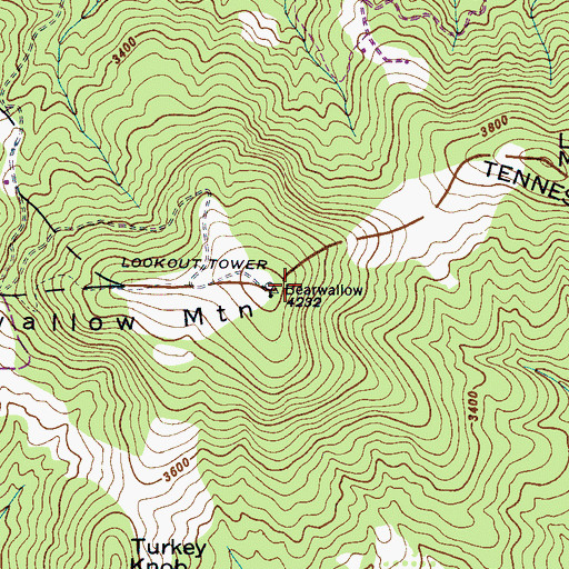 Topographic Map of Bearwallow Mountain, NC