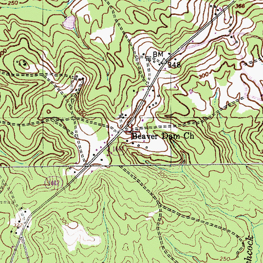 Topographic Map of Beaver Dam Church, NC