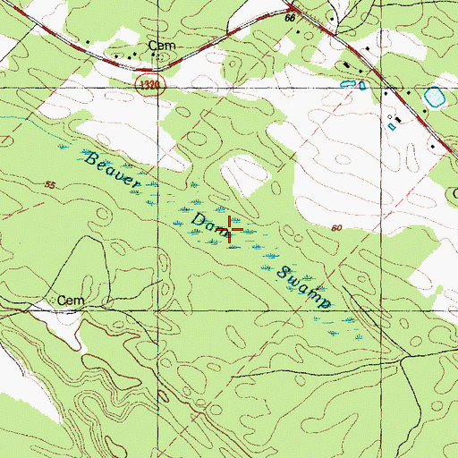 Topographic Map of Beaver Dam Swamp, NC