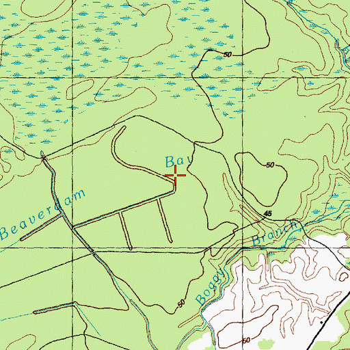 Topographic Map of Beaverdam Bay, NC