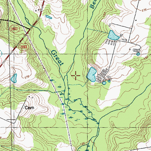 Topographic Map of Beaverdam Swamp, NC