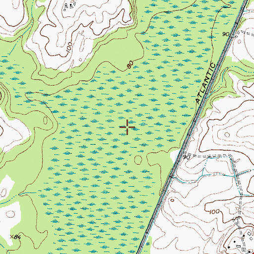 Topographic Map of Beaverdam Swamp, NC
