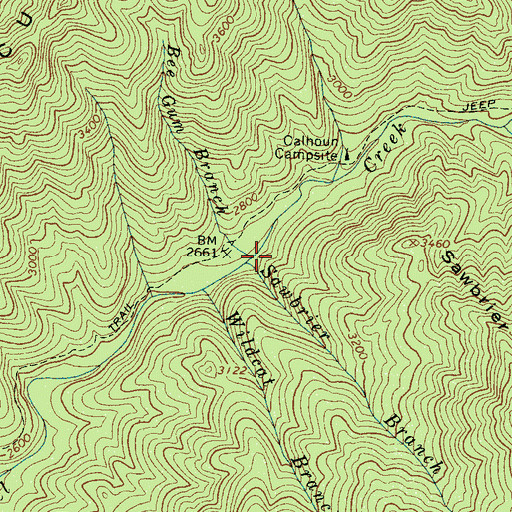 Topographic Map of Bee Gum Branch, NC