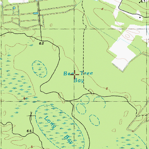 Topographic Map of Bee Tree Bay, NC