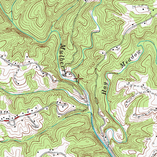 Topographic Map of Bee Tree Branch, NC