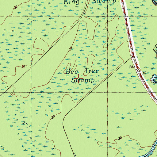 Topographic Map of Bee Tree Swamp, NC