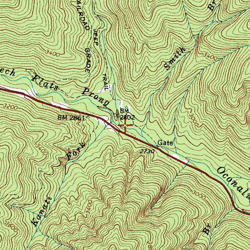Topographic Map of Beech Flats Prong, NC