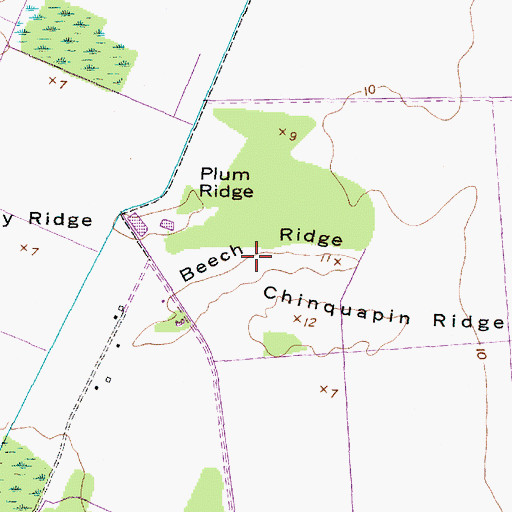 Topographic Map of Beech Ridge, NC