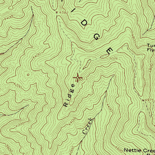 Topographic Map of Beetree Ridge, NC