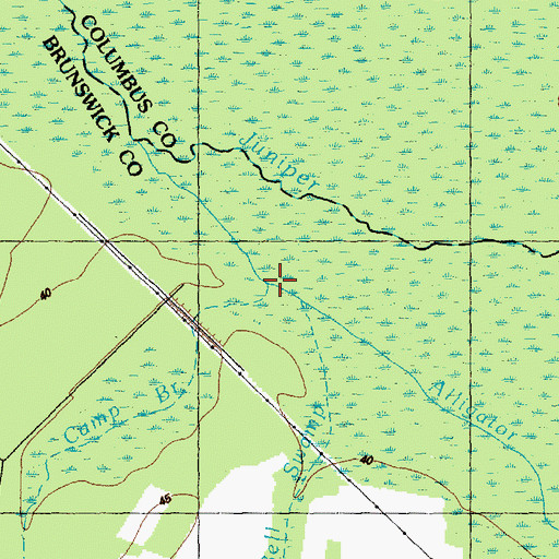 Topographic Map of Bell Swamp, NC