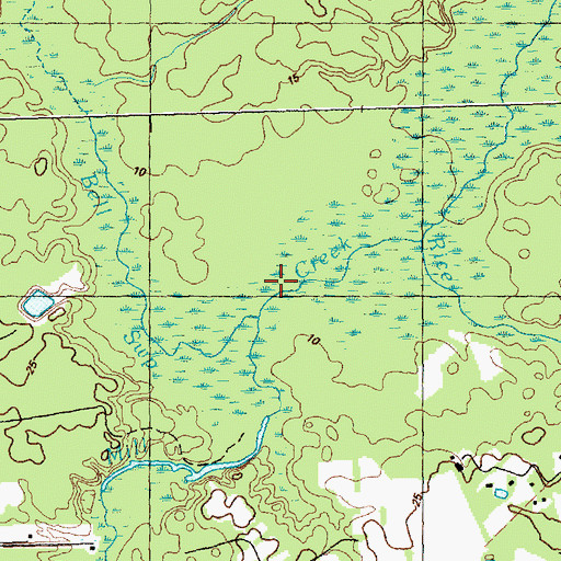Topographic Map of Bell Swamp, NC