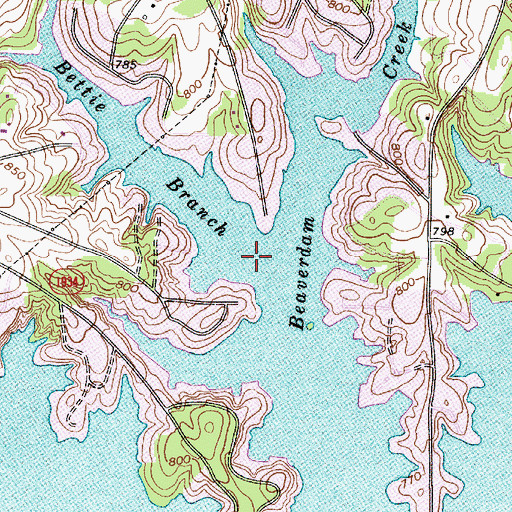 Topographic Map of Bettie Branch, NC