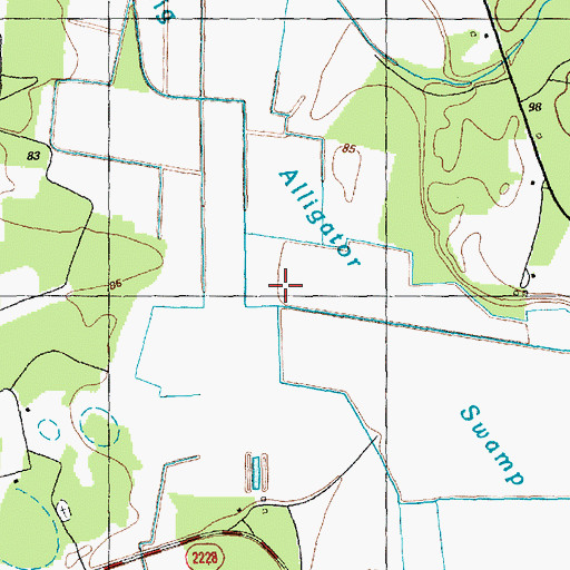 Topographic Map of Big Alligator Swamp, NC