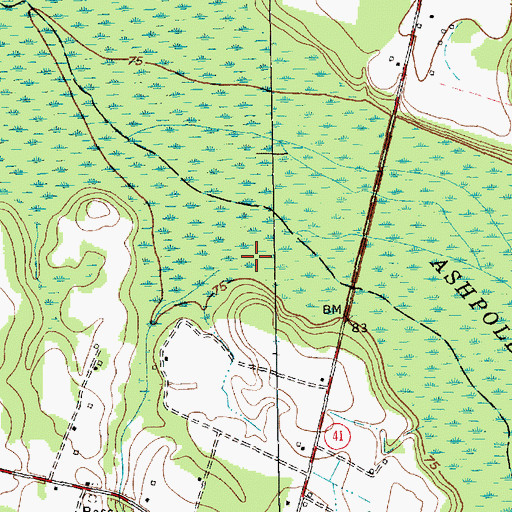 Topographic Map of Big Branch, NC