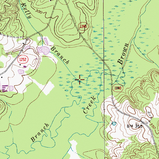 Topographic Map of Big Branch, NC