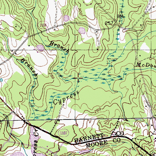 Topographic Map of Big Branch, NC