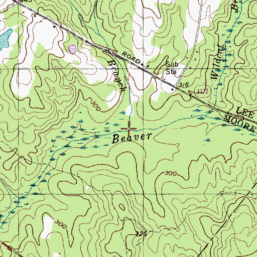 Topographic Map of Big Branch, NC