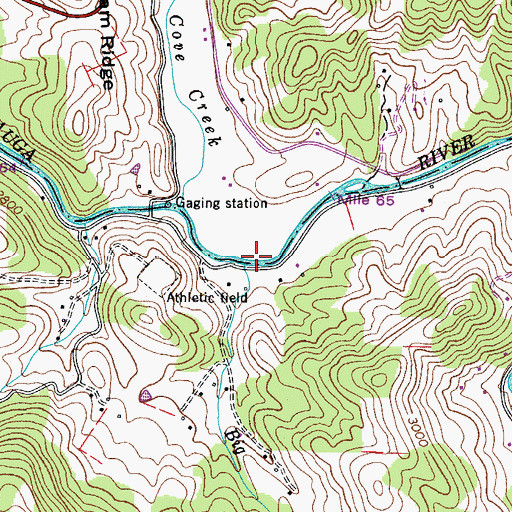 Topographic Map of Big Branch, NC