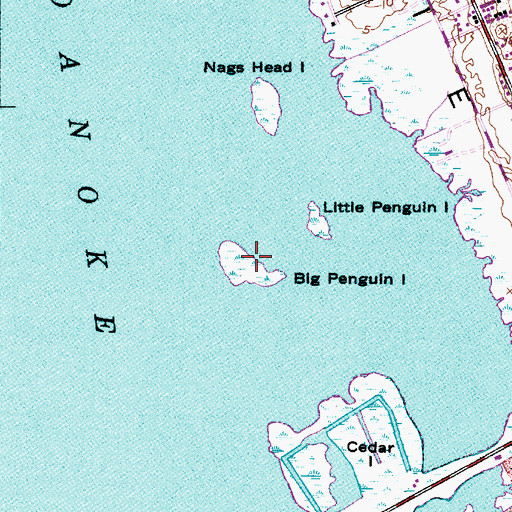 Topographic Map of Big Penguin Island, NC