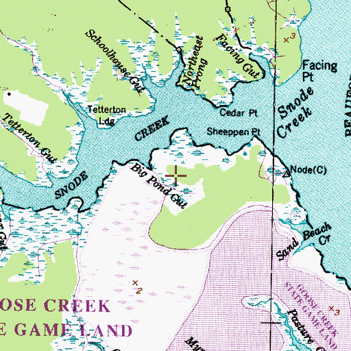 Topographic Map of Big Pond Gut, NC
