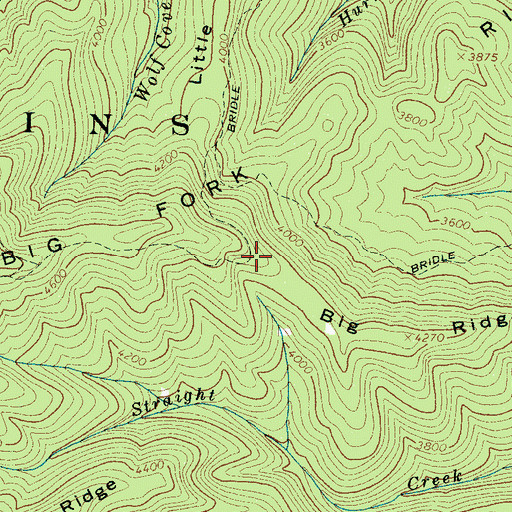 Topographic Map of Big Ridge, NC