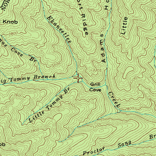 Topographic Map of Big Tommy Branch, NC
