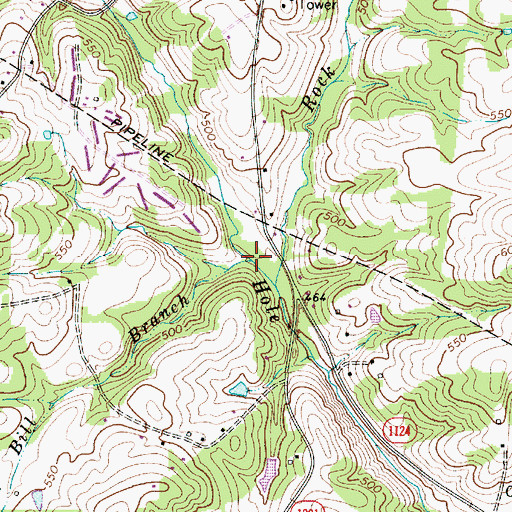 Topographic Map of Bill Branch, NC