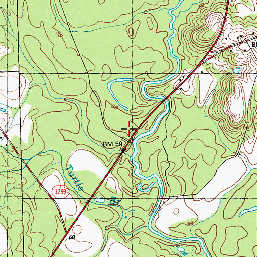 Topographic Map of Bills Swamp, NC