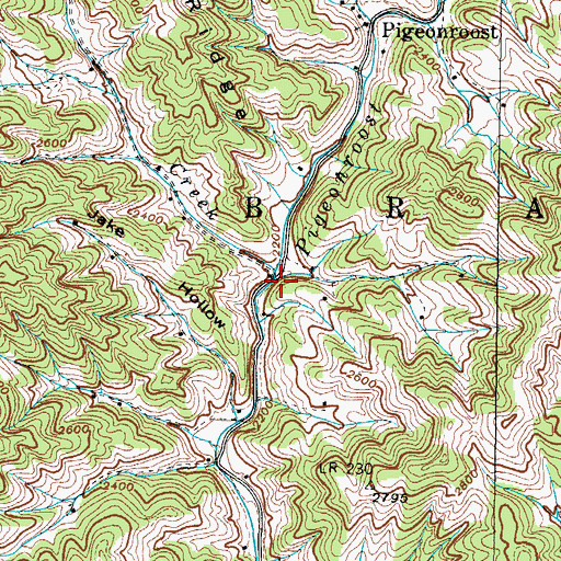 Topographic Map of Bird Creek, NC
