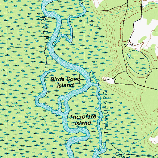 Topographic Map of Birds Cove Island, NC