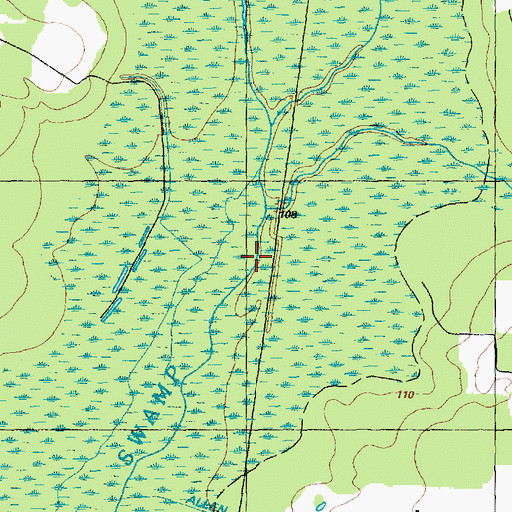 Topographic Map of Black Swamp, NC