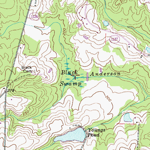Topographic Map of Black Swamp, NC