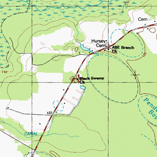 Topographic Map of Black Swamp Church, NC