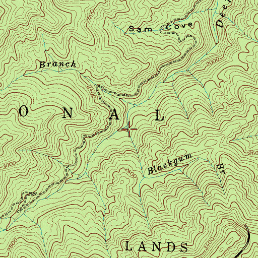 Topographic Map of Blackgum Branch, NC