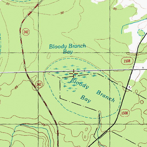 Topographic Map of Bloody Branch Bay, NC