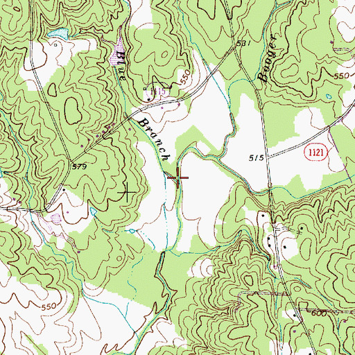Topographic Map of Blue Branch, NC