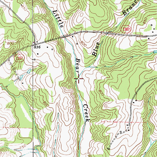 Topographic Map of Blue Branch, NC